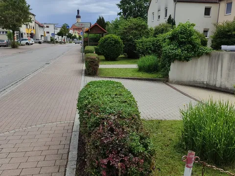 Sauber geschnittene Hecken entlang einer Ortsdurchfahrt, Grünschnitt bereits im Transportnetz.