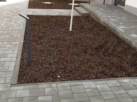 Gemulchtes, sauber abgegrenztes Beet mit jungem Baum nach der Pflege.