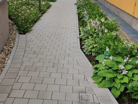 Gepflegter Weg zwischen Wohnhäusern, gesäumt von blühenden Stauden und Rosen.
