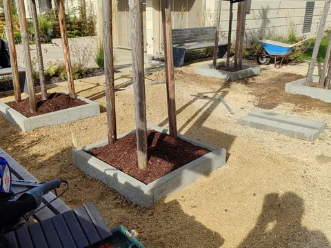 Neu eingefasste Baumscheiben mit Rindenmulch im Innenhof — Werkzeug und Schubkarre im Einsatz.