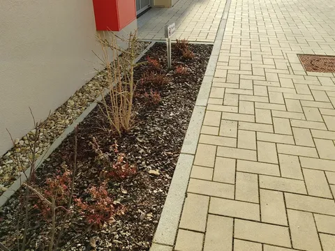 Gepflegter Beetstreifen mit Rindenmulch entlang der Hausfassade einer Wohnstraße.