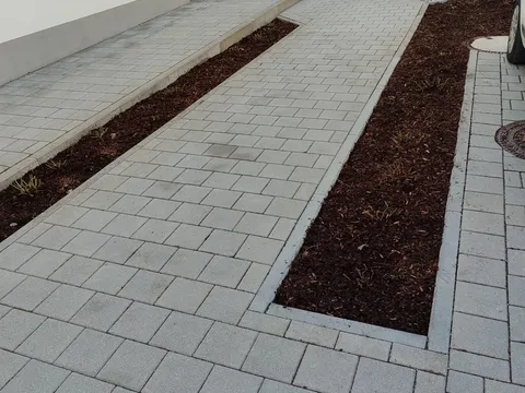 Sauber gepflasterter Eingangsweg mit frisch gemulchten Beeten vor dem Hauseingang.