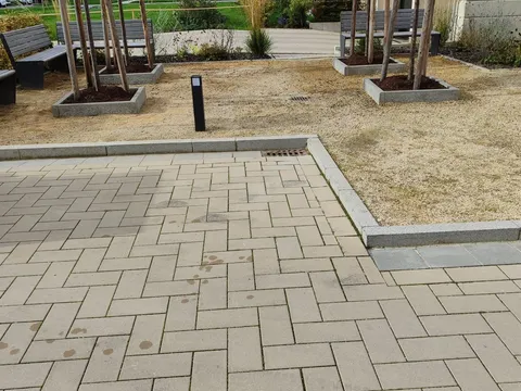 Begrünter Innenhof mit Bänken, jungen Bäumen und sauberem Pflasterbelag.