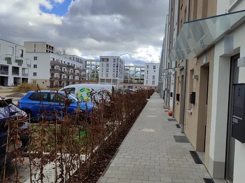 Laubbeseitigung mit Laubbläser und Besen auf dem Gehweg einer Wohnanlage im Herbst.